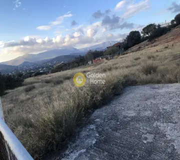 Οικιστικό 6500τ.μ. προς πώληση φωτογραφία 6