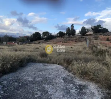 Οικιστικό 6500τ.μ. προς πώληση φωτογραφία 5