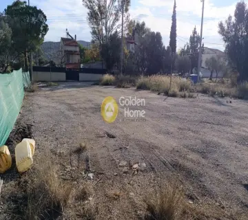 Golden Home Property Image