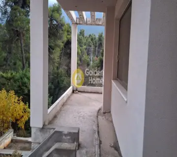 Μεζονέτα Ανεξάρτητη 440τ.μ. προς πώληση φωτογραφία 7