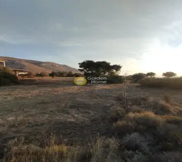 Οικιστικό 4079τ.μ. προς πώληση φωτογραφία 1