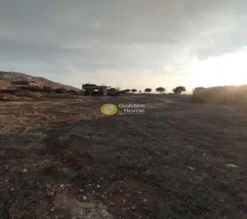 Οικιστικό 4079τ.μ. προς πώληση φωτογραφία 10