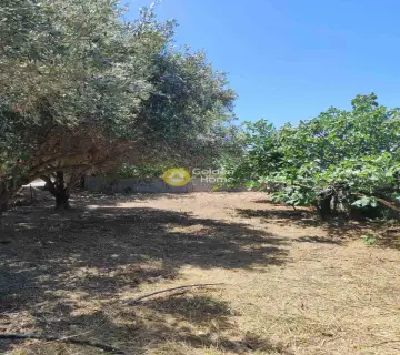 Residential 264m<sup>2</sup> for sale photo 3