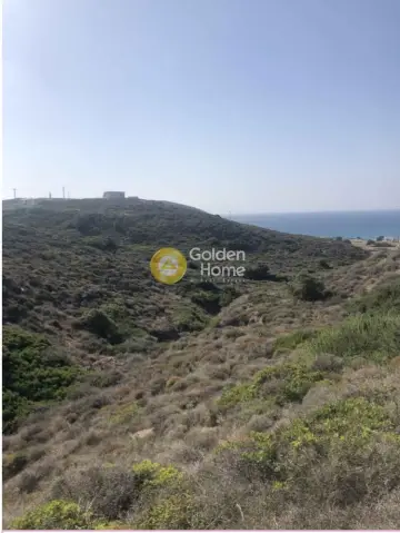 Επαγγελ. Οικόπεδο 10800τ.μ. προς πώληση φωτογραφία 4