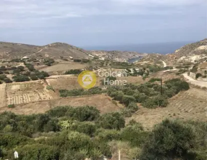 Επαγγελ. Οικόπεδο 10800τ.μ. προς πώληση φωτογραφία 5