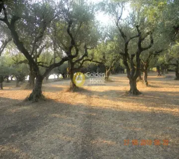 Residential 5000m<sup>2</sup> for sale photo 4580037
