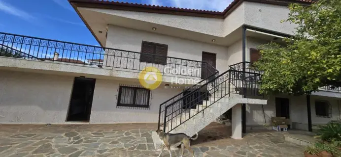 Golden Home Property Image