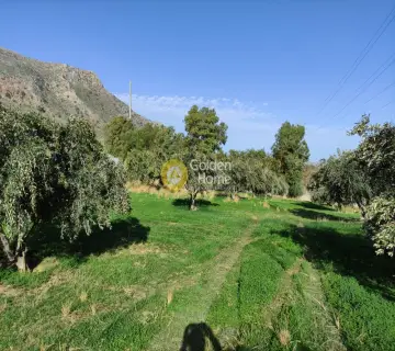 Επαγγελ. Οικόπεδο 6500τ.μ. προς ενοικίαση φωτογραφία 1