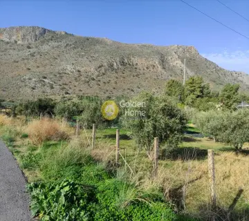Επαγγελ. Οικόπεδο 6500τ.μ. προς ενοικίαση φωτογραφία 2