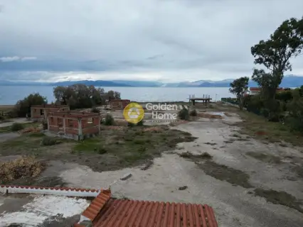 Επαγγελ. Οικόπεδο 8500τ.μ. προς πώληση φωτογραφία 2