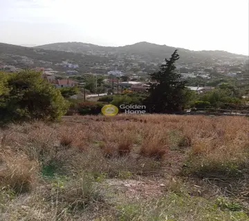 Residential 1300m<sup>2</sup> for sale photo 4576768