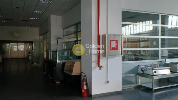工业用 850m<sup>2</sup> for rent photo 4