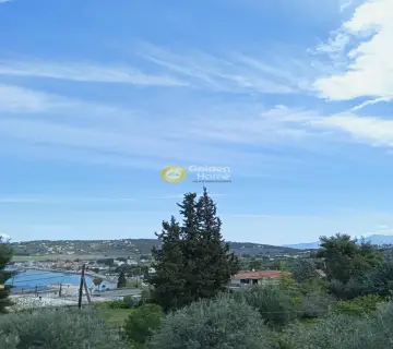 Οικιστικό 4000τ.μ. προς πώληση φωτογραφία 4579308