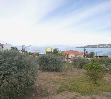 Οικιστικό 4000τ.μ. προς πώληση φωτογραφία 4579308