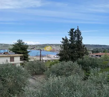 Οικιστικό 4000τ.μ. προς πώληση φωτογραφία 4579309