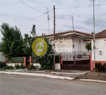 Μονοκατοικία 113τ.μ. προς πώληση φωτογραφία 4577352