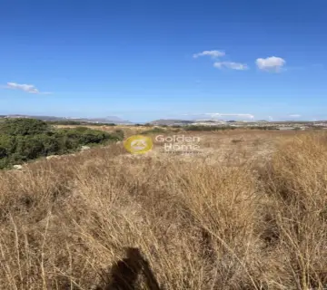 Οικιστικό 6649τ.μ. προς πώληση φωτογραφία 4592889