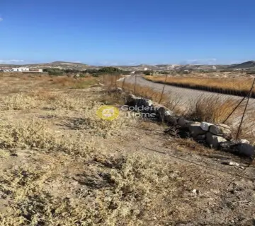 Οικιστικό 6649τ.μ. προς πώληση φωτογραφία 4592891