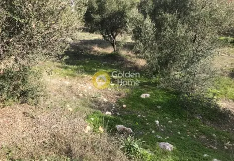 Residential 1050m<sup>2</sup> for sale photo 8