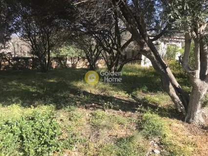 Residential 1050m<sup>2</sup> for sale photo 6