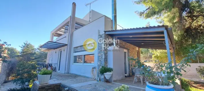 Μονοκατοικία 200τ.μ. προς πώληση φωτογραφία 46