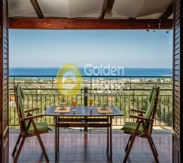 Μονοκατοικία 222τ.μ. προς πώληση φωτογραφία 4583850