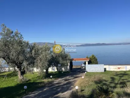 House 350m<sup>2</sup> for rent photo 38