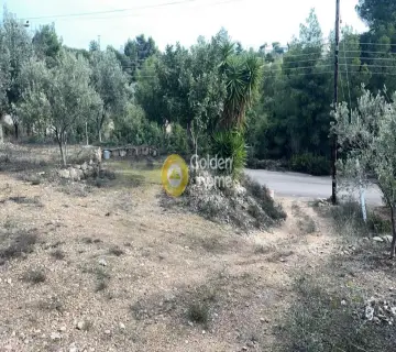 Οικιστικό 1040τ.μ. προς πώληση φωτογραφία 6