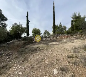 Οικιστικό 1040τ.μ. προς πώληση φωτογραφία 8