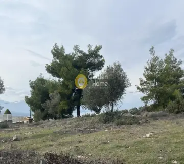 Οικιστικό 1040τ.μ. προς πώληση φωτογραφία 9