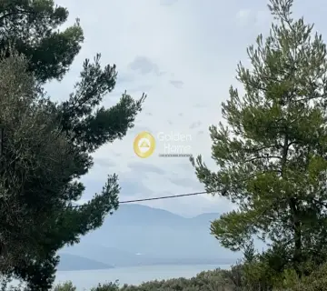 Οικιστικό 1040τ.μ. προς πώληση φωτογραφία 1