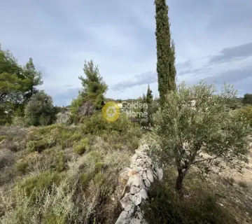 Οικιστικό 1040τ.μ. προς πώληση φωτογραφία 12