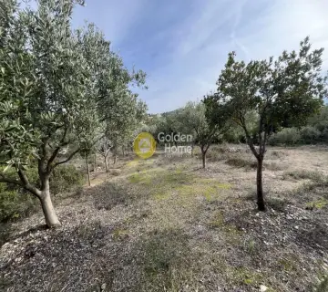 Οικιστικό 1040τ.μ. προς πώληση φωτογραφία 14