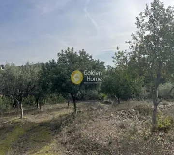 Οικιστικό 1040τ.μ. προς πώληση φωτογραφία 15