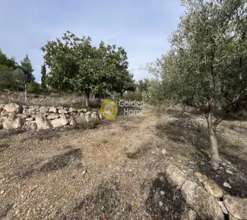 Οικιστικό 1040τ.μ. προς πώληση φωτογραφία 17