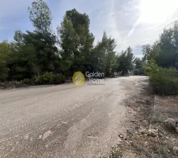 Οικιστικό 1040τ.μ. προς πώληση φωτογραφία 16