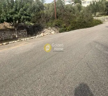 Οικιστικό 1040τ.μ. προς πώληση φωτογραφία 5
