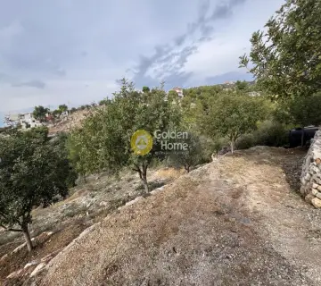 Οικιστικό 1029τ.μ. προς πώληση φωτογραφία 4