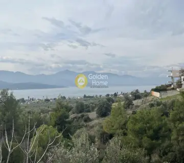 Οικιστικό 1029τ.μ. προς πώληση φωτογραφία 1