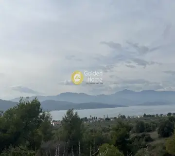Οικιστικό 1029τ.μ. προς πώληση φωτογραφία 2