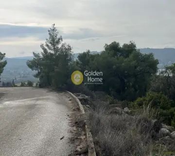 Οικιστικό 1029τ.μ. προς πώληση φωτογραφία 6
