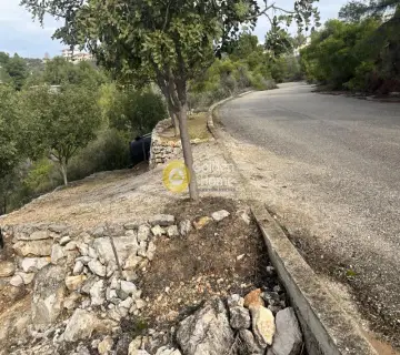 Οικιστικό 1029τ.μ. προς πώληση φωτογραφία 13