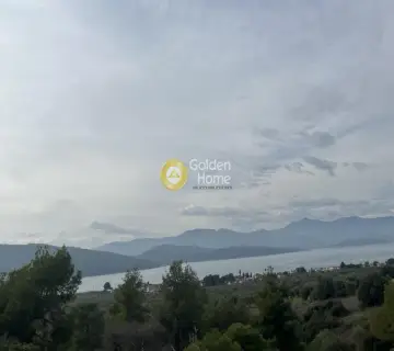 Οικιστικό 1029τ.μ. προς πώληση φωτογραφία 10