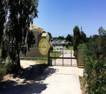 Golden Home Property Image