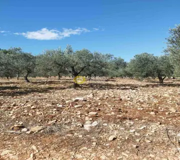 Parcel 1387m<sup>2</sup> for sale photo 2