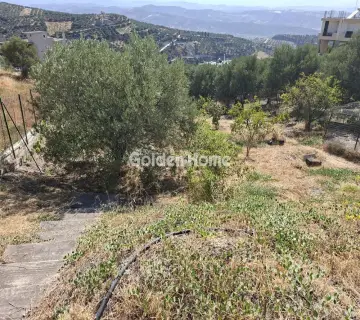 Residential 770m<sup>2</sup> for sale photo 4963266