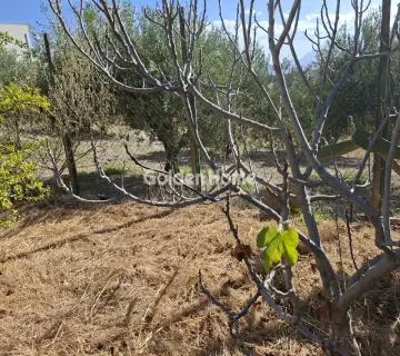 Residential 770m<sup>2</sup> for sale photo 4963274