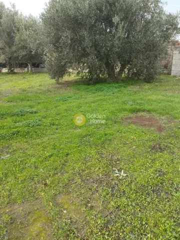 Residential 450m<sup>2</sup> for sale photo 6