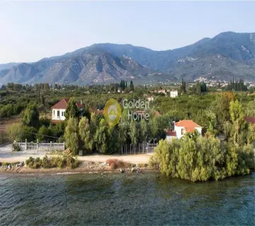 Golden Home Property Image