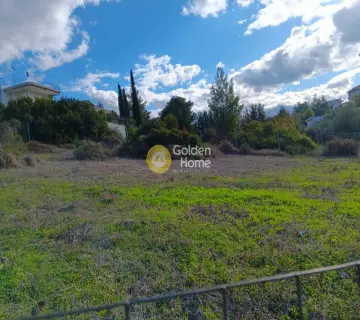 Αγροτεμάχιο 500τ.μ. προς πώληση φωτογραφία 4592382